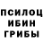 Псилоцибиновые грибы GOLDEN TEACHER Helper kendu