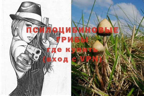 дмт Карталы