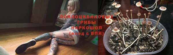 дживик Касимов