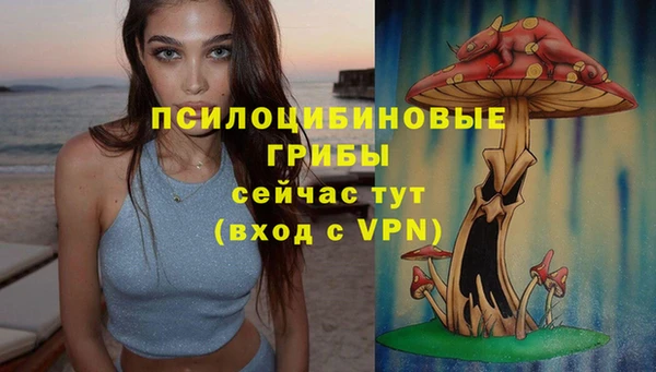 mdma Карпинск