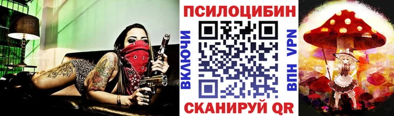 Галлюциногенные грибы Cubensis  Купить где  Ишимбай 